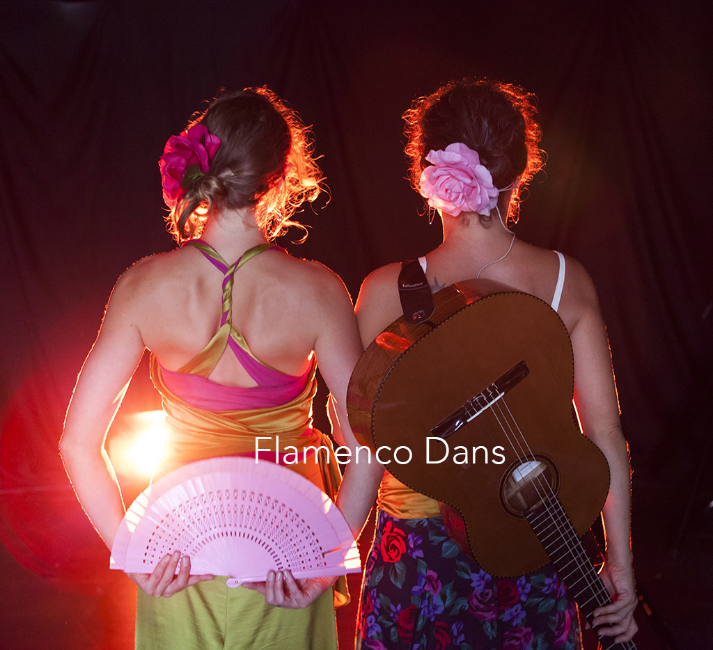 Flamenco Dans